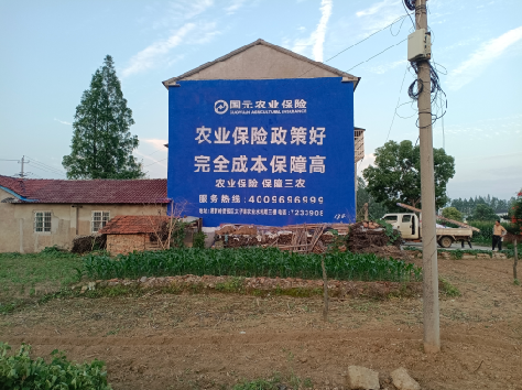 景谷墙体广告为何受追捧？